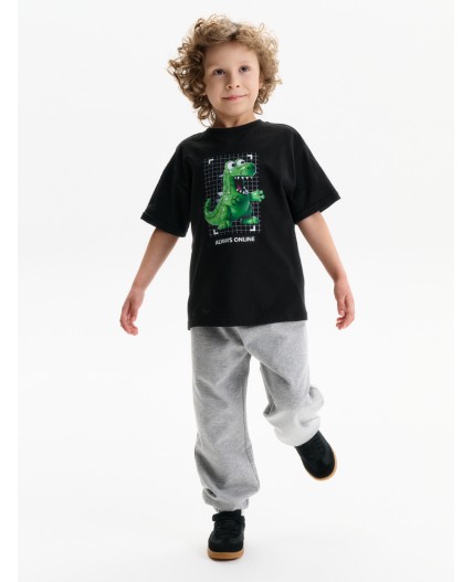 Футболка для мальчиков Черный(49)