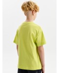 Футболка для мальчиков Яблочный(51)