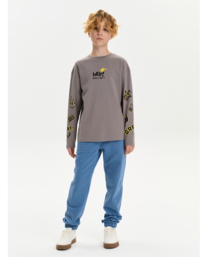 Джемпер для мальчиков Серый(40)