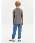 Джемпер для мальчиков Серый(40)