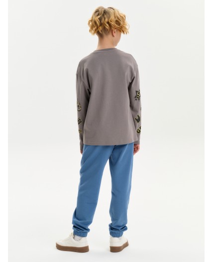 Джемпер для мальчиков Серый(40)