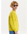 Толстовка для мальчиков Желтый(11)