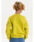 Толстовка для мальчиков Желтый(11)