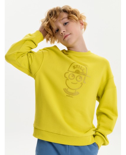 Толстовка для мальчиков Желтый(11)