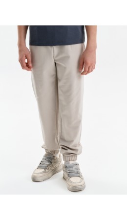 Брюки для мальчиков Светло-серый(53)