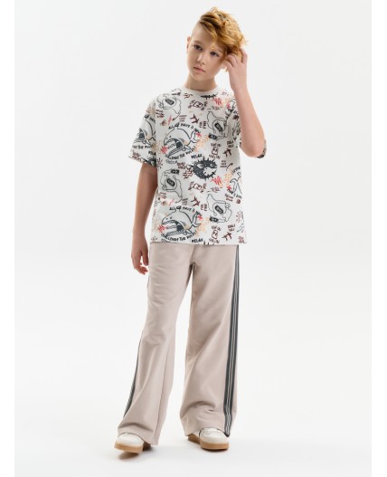 Брюки для мальчиков Светло-серый(53)