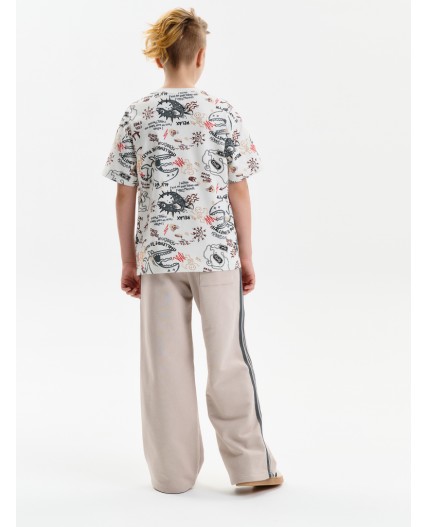 Брюки для мальчиков Светло-серый(53)