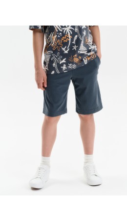 Шорты для мальчика Серый(40)