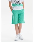 Шорты для мальчика Ментол(27)