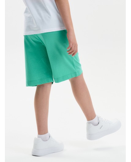 Шорты для мальчика Ментол(27)