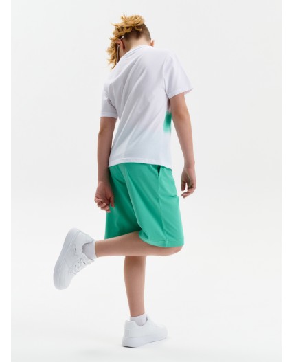 Шорты для мальчика Ментол(27)