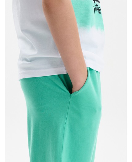 Шорты для мальчика Ментол(27)