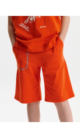 Шорты для мальчика Красный(18)