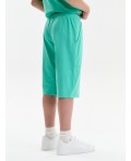 Шорты для мальчика Ментол(27)