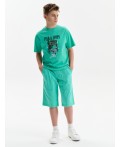 Шорты для мальчика Ментол(27)