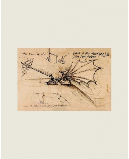 Лонгслив:ув. МОДЕЛЬ 6 Молочный