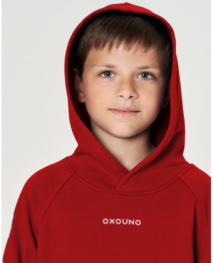 Костюм худи/джоггеры:уд. МОДЕЛЬ 3 Марена