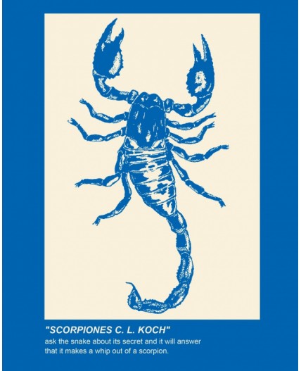 Футболка:муж. МОДЕЛЬ 7 Ривьера