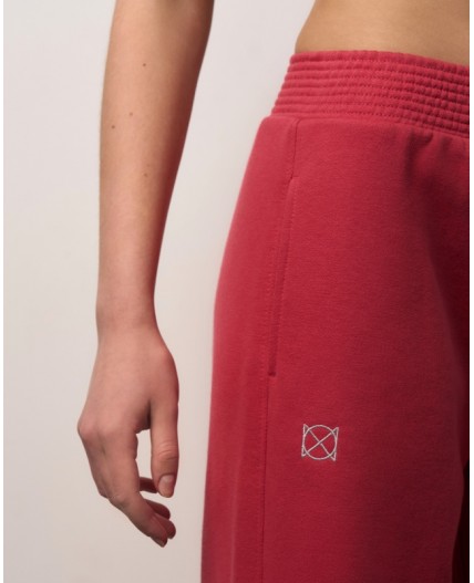 Брюки:жен. МОДЕЛЬ 58 Ягодный смузи