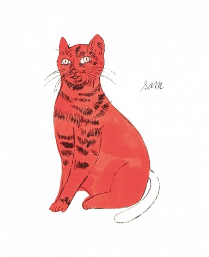 Футболка:ув. МОДЕЛЬ 2 Белый