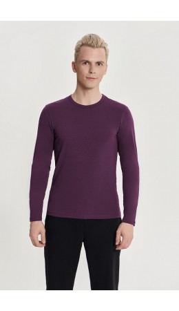 Лонгслив:муж. МОДЕЛЬ 1 Виноград