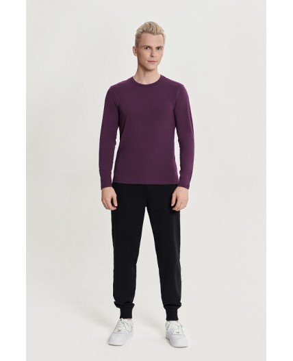 Лонгслив:муж. МОДЕЛЬ 1 Виноград