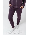 Комплект толстовка/брюки:жен. МОДЕЛЬ 2 Аметист
