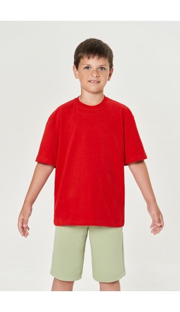 Футболка:уд. МОДЕЛЬ 1 Годжи