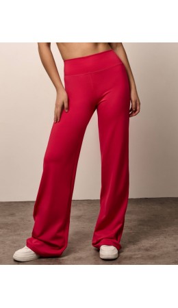 Брюки спортивные:жен. МОДЕЛЬ1 Комета