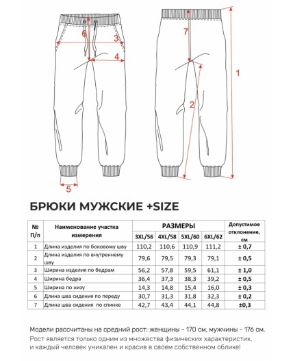 Брюки Мужские 8055 Графитовый