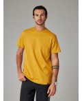 футболка мужская горчичный
