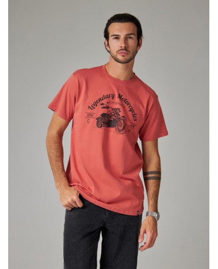 футболка мужская терракотовый