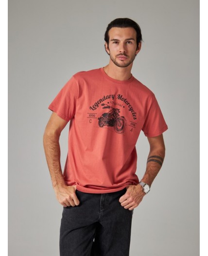 футболка мужская терракотовый