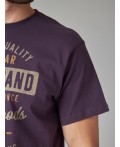 футболка мужская сливовый