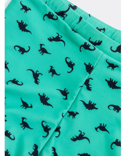 Трусы купальные динозавры на зеленом