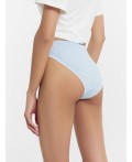 Трусы веточки на голубом