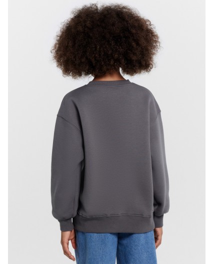 Джемпер асфальт +печать