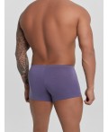 Трусы пыльно -фиолетовый +текст на графите