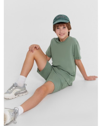 Комплект полынь