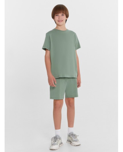 Комплект полынь