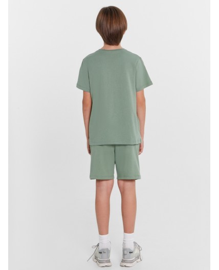 Комплект полынь