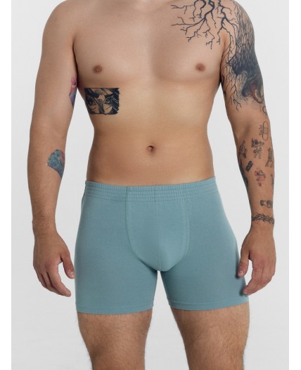 Трусы сланец