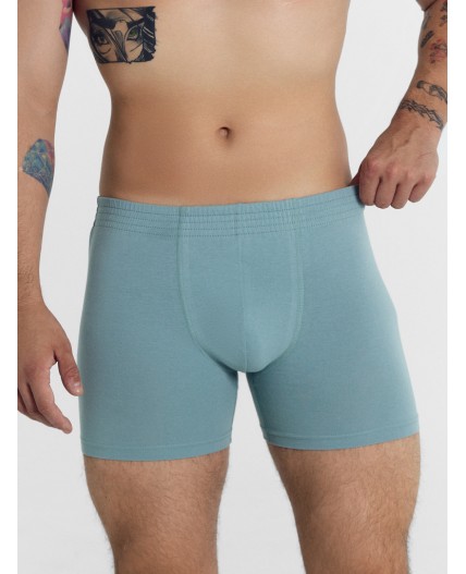 Трусы сланец