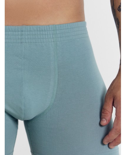 Трусы сланец