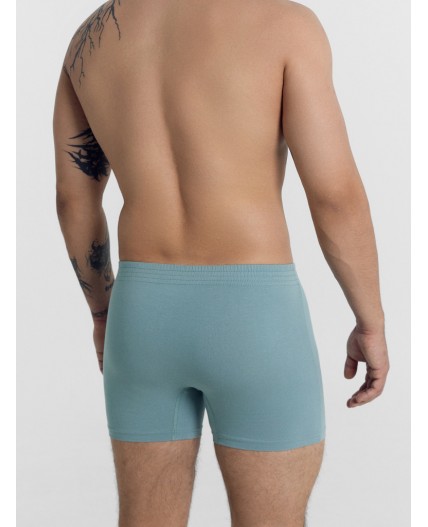 Трусы сланец