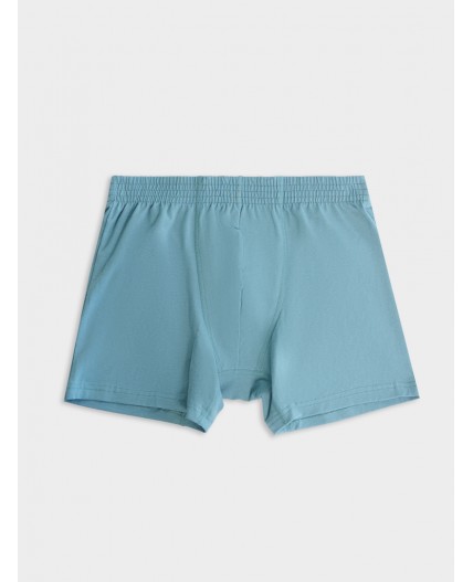 Трусы сланец