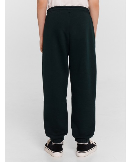 Брюки пыльная зелень