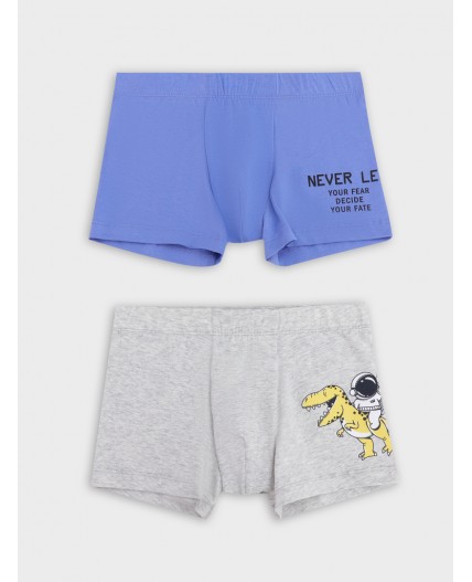 Трусы серый меланж 4306-А +аметист +печать