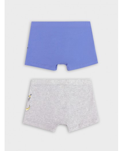 Трусы серый меланж 4306-А +аметист +печать