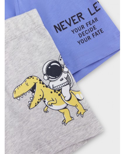 Трусы серый меланж 4306-А +аметист +печать